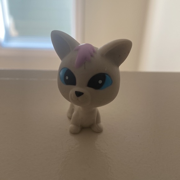 lps - Picture 2 of 7